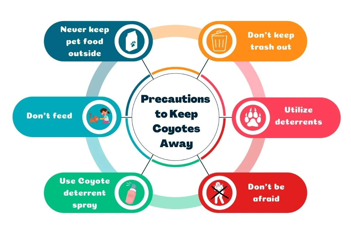 Precautions to keep coyotes away from your property- infographics