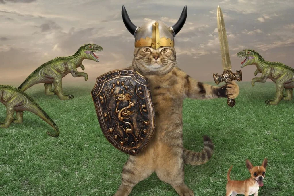 Can a Cat Fight Off a Coyote