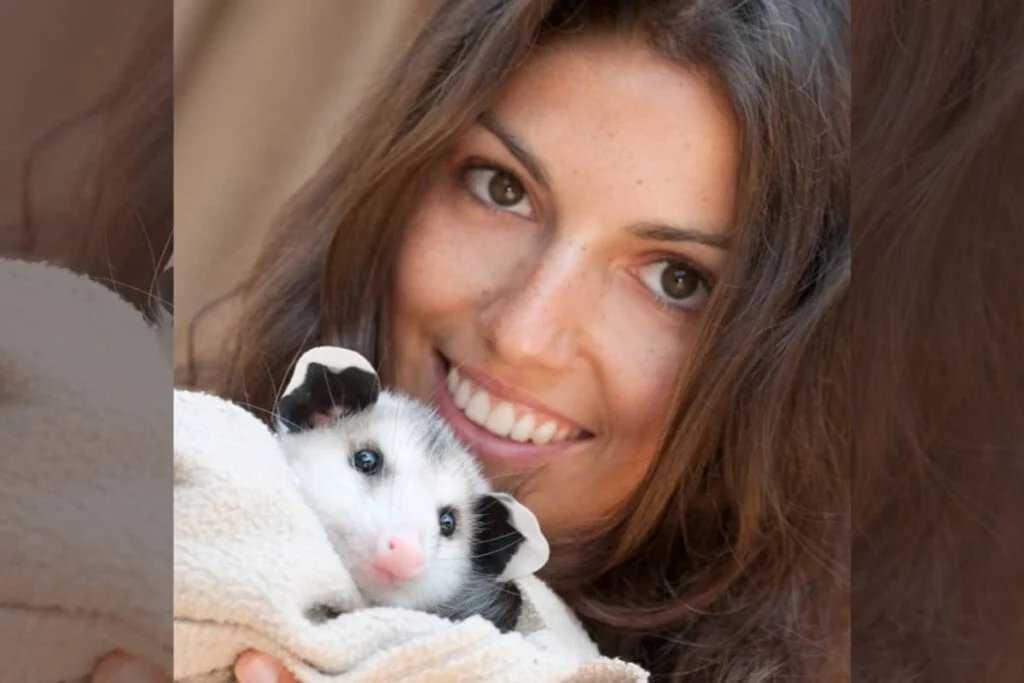 Do Opossums Make Good Pets? lets find.