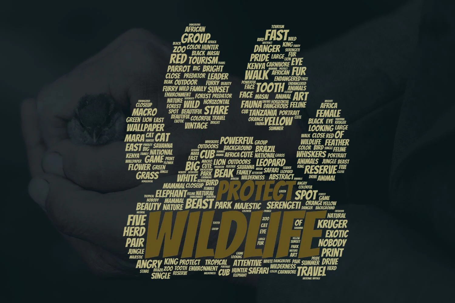 Protecting Wildlife