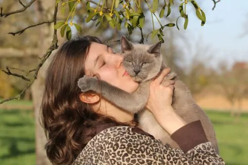 Tips to Save Your Pet Memories