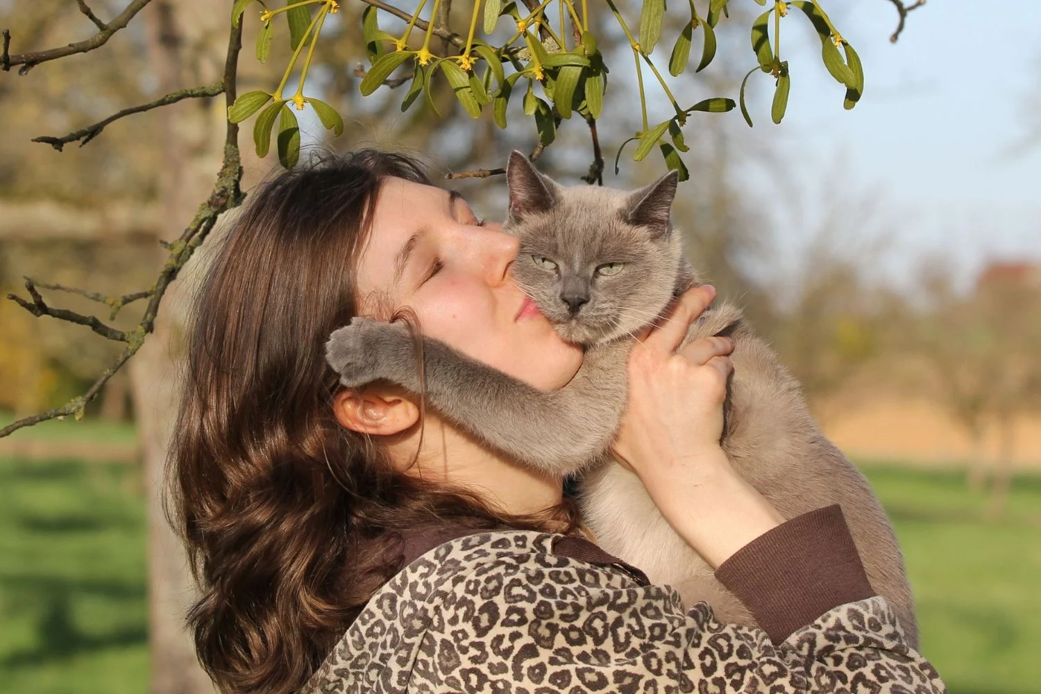 Tips to Save Your Pet Memories