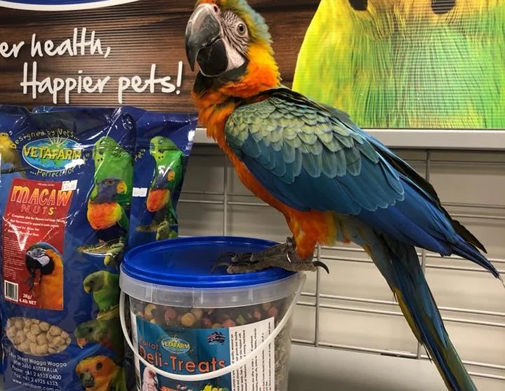 Vetafarm Bird Seeds