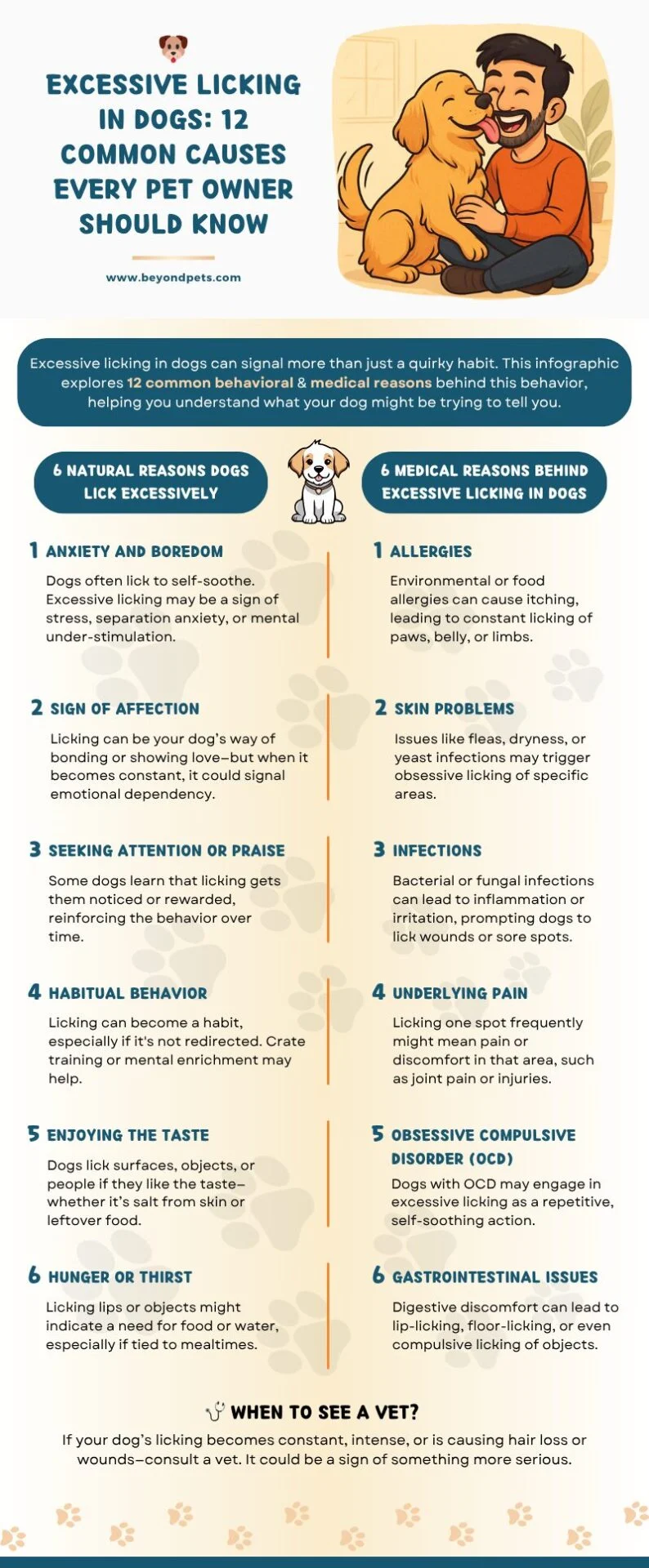 infographics of common causes of excessive licking in dogs