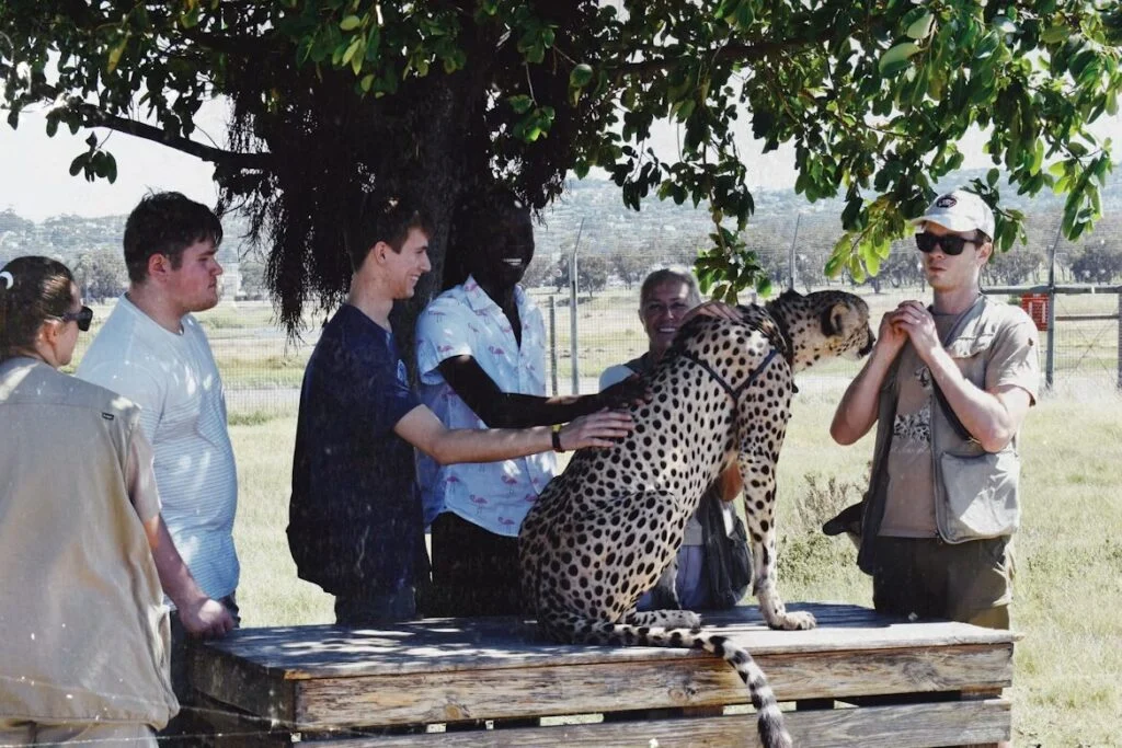 How To Start A Career Working With Wild Animals
