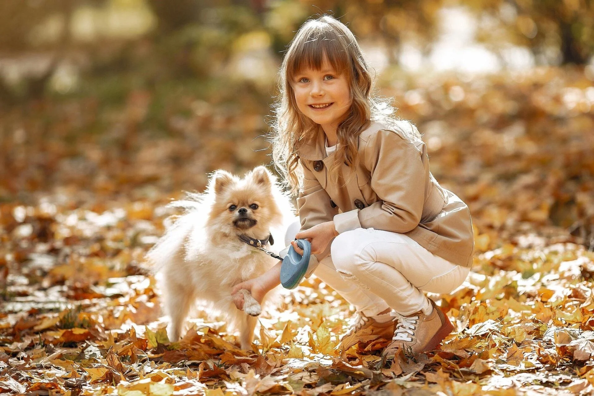 How to Enjoy Life with a New Puppy 2025