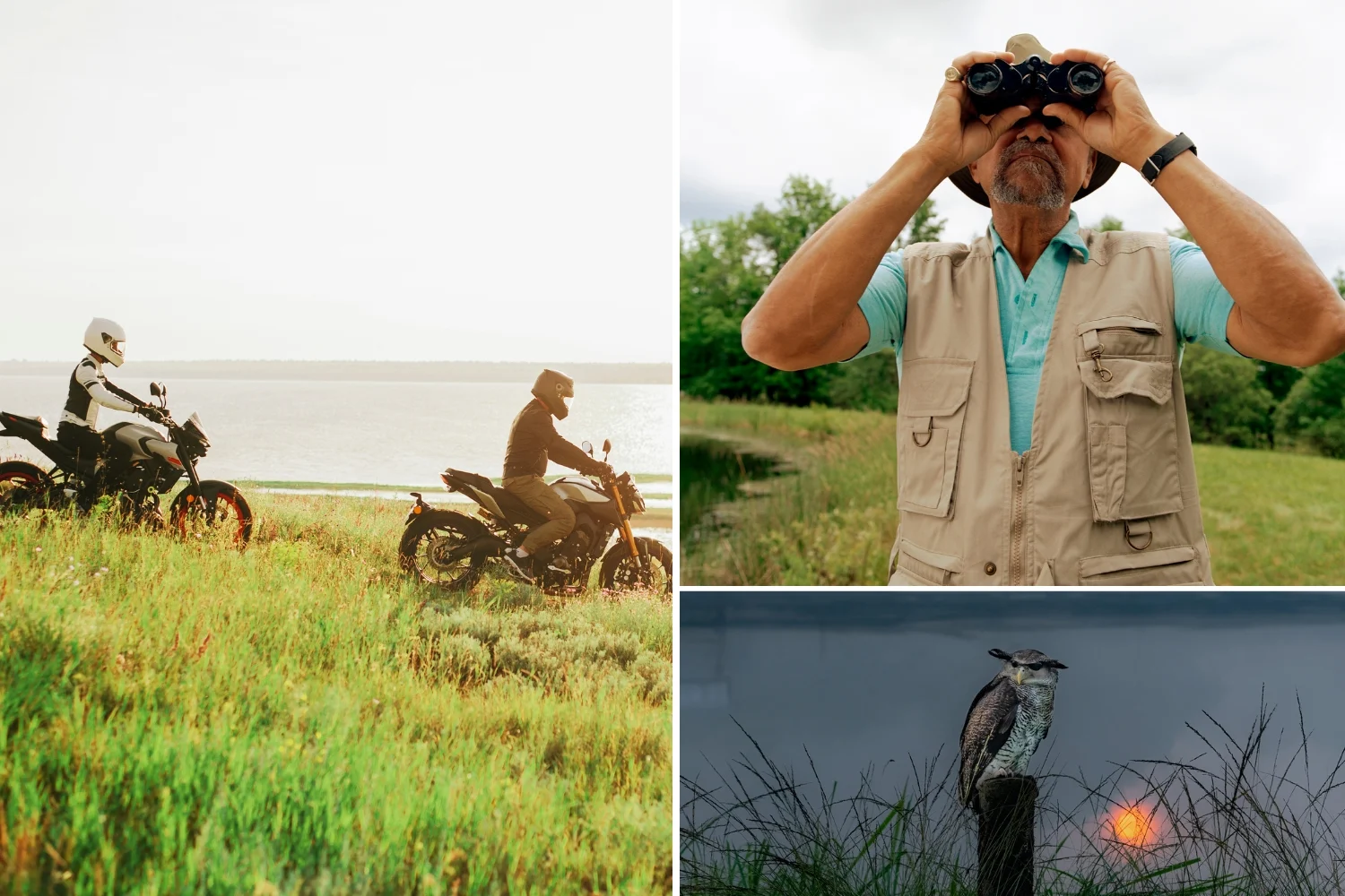 Why Off-Road Ebike Is the Best Companion for Wildlife Observers