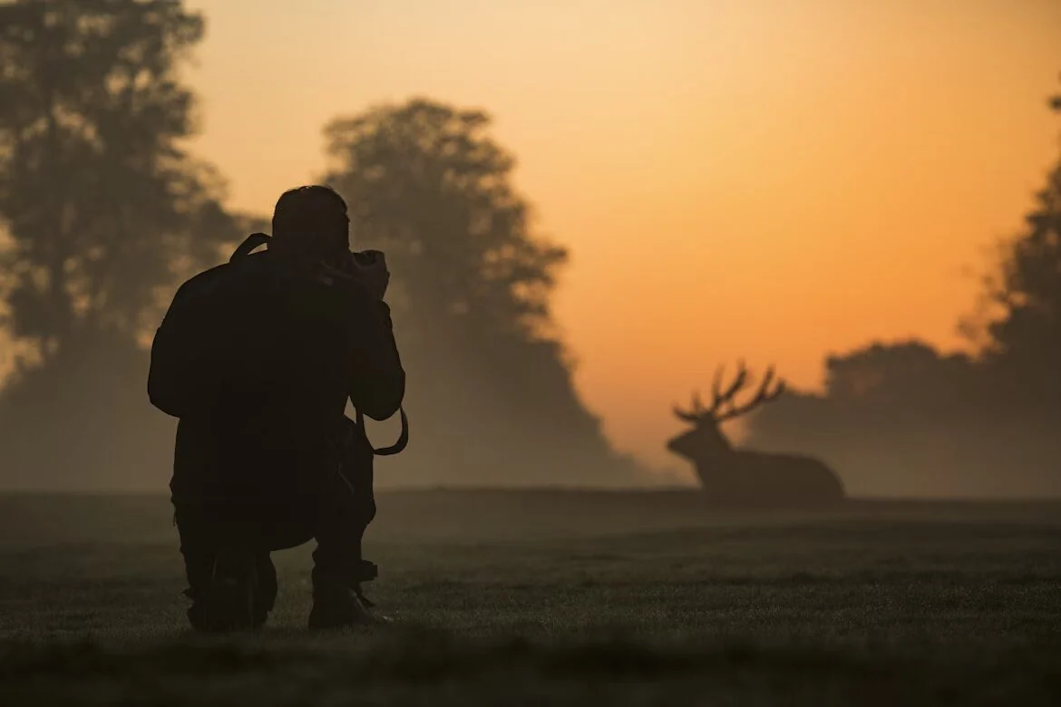 a wildlife photographer career