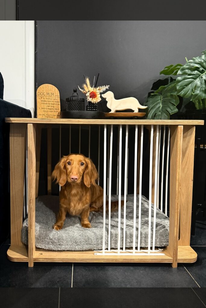 Birch plywood dog kennel furniture