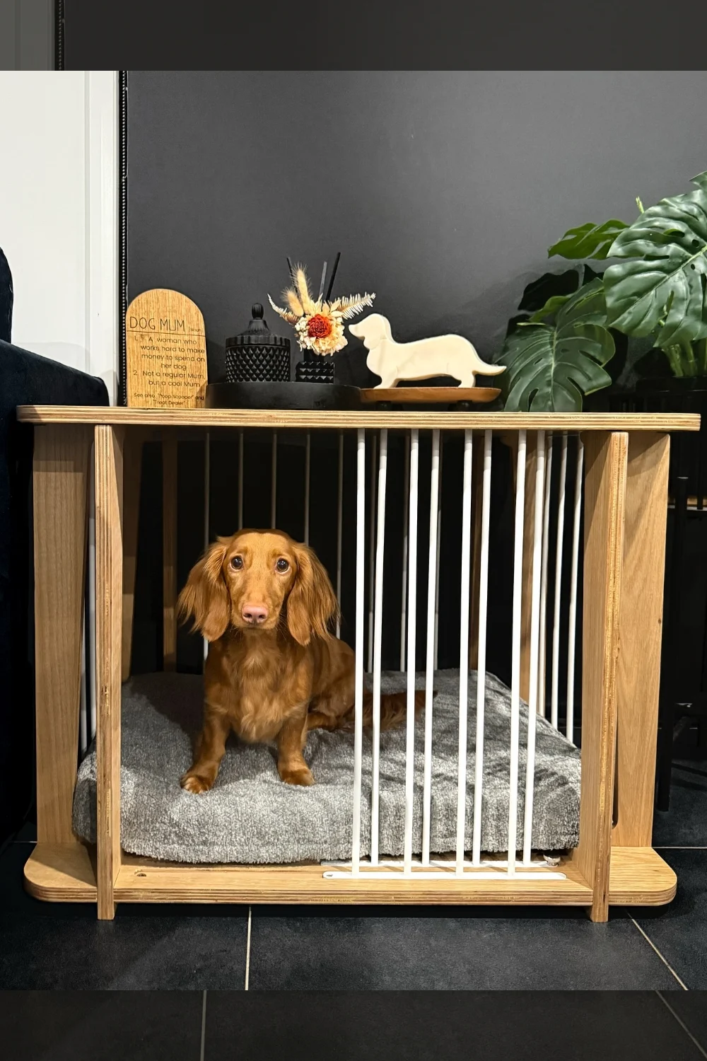 Birch plywood dog kennel furniture