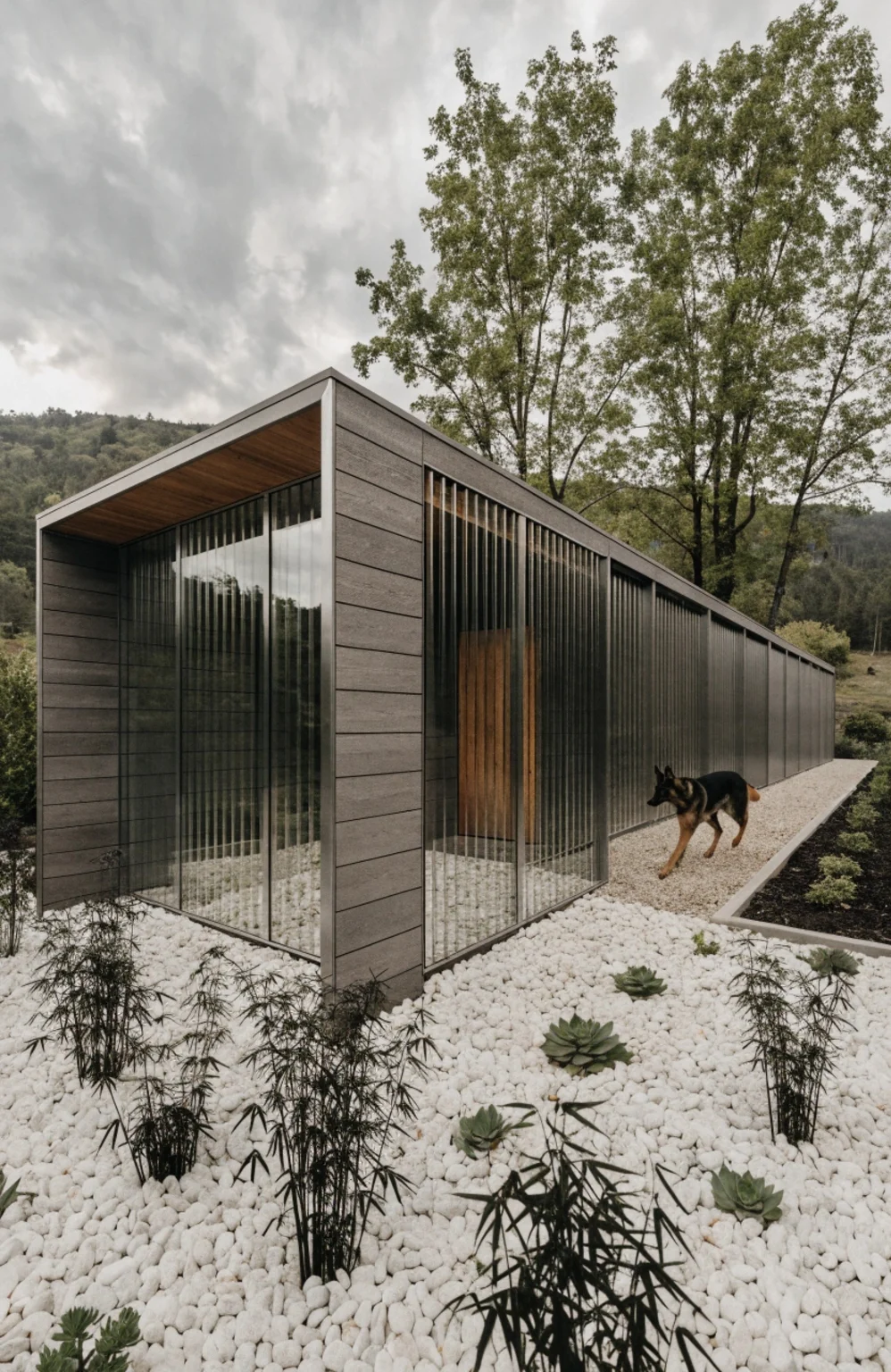 modern architectural kennel with dog run