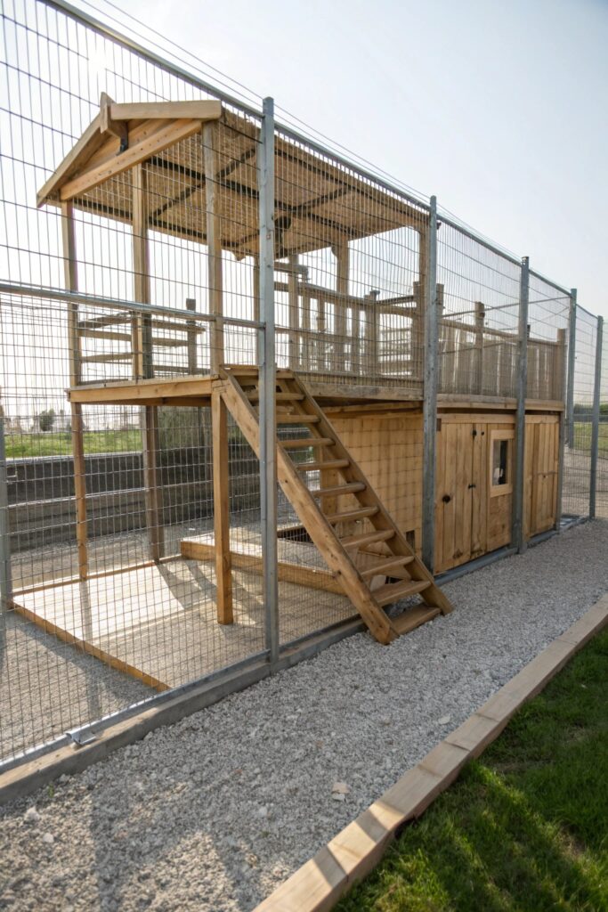 multi level large outdoor dog kennel
