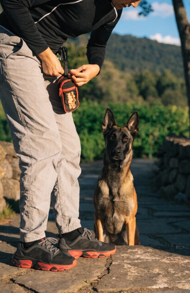 backpack clip portable training station