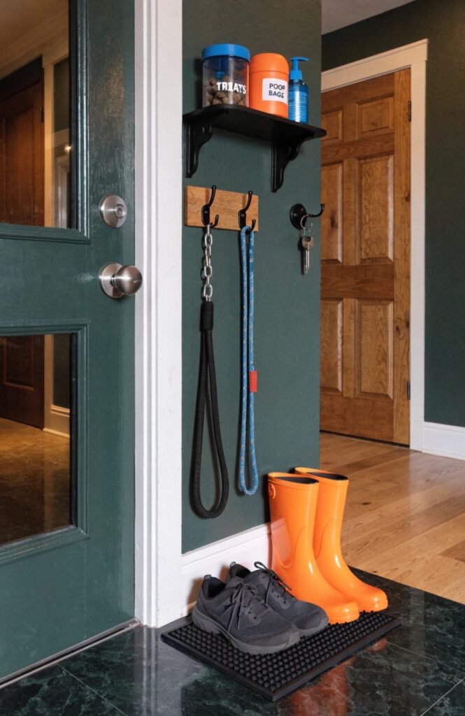 the dog walking launch pad station