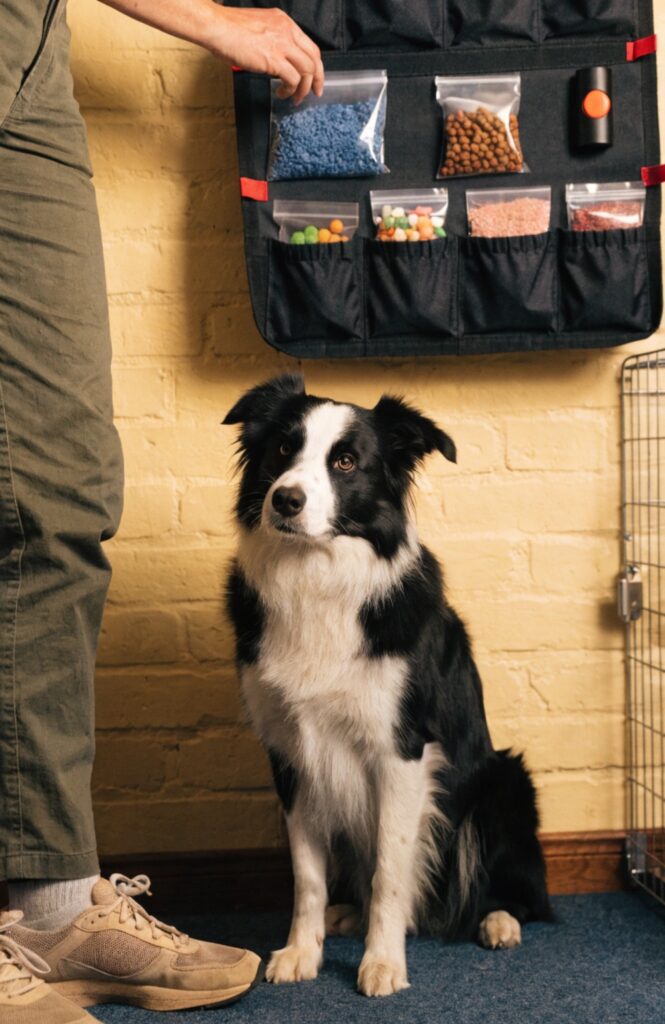 training treat pouch wall station