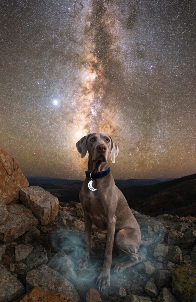 celestial aesthetic names for a dog