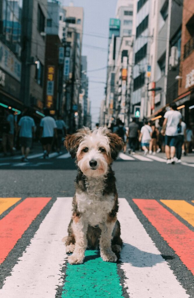 cute japanese pet names unisex