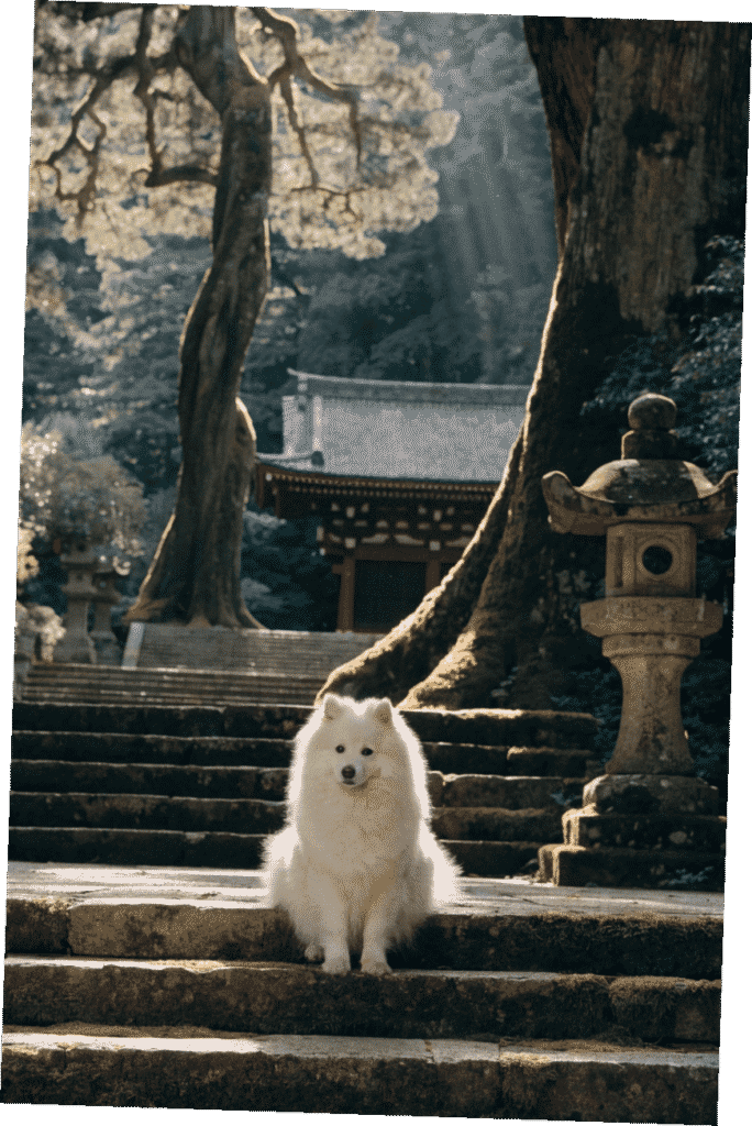 Japanese dog names girl