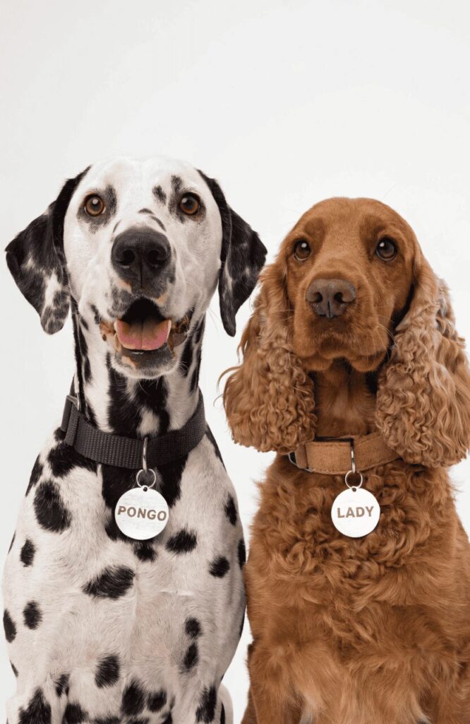 disney dog names by breed dalmatian with pongo tag and cocker spaniel with lady tag