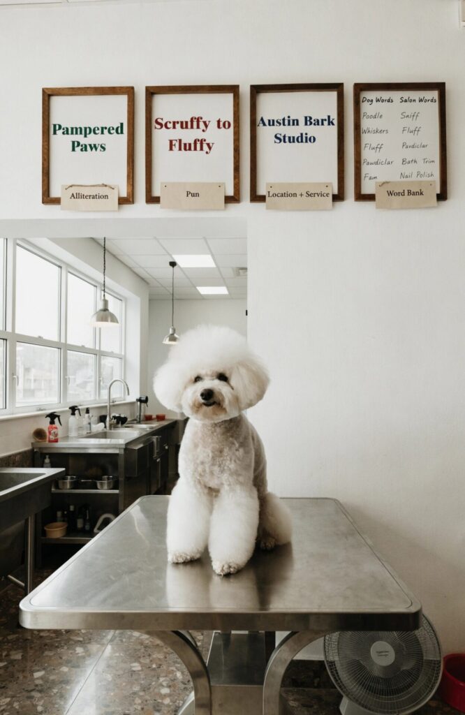 naming techniques for dog grooming businesses shown on real signage