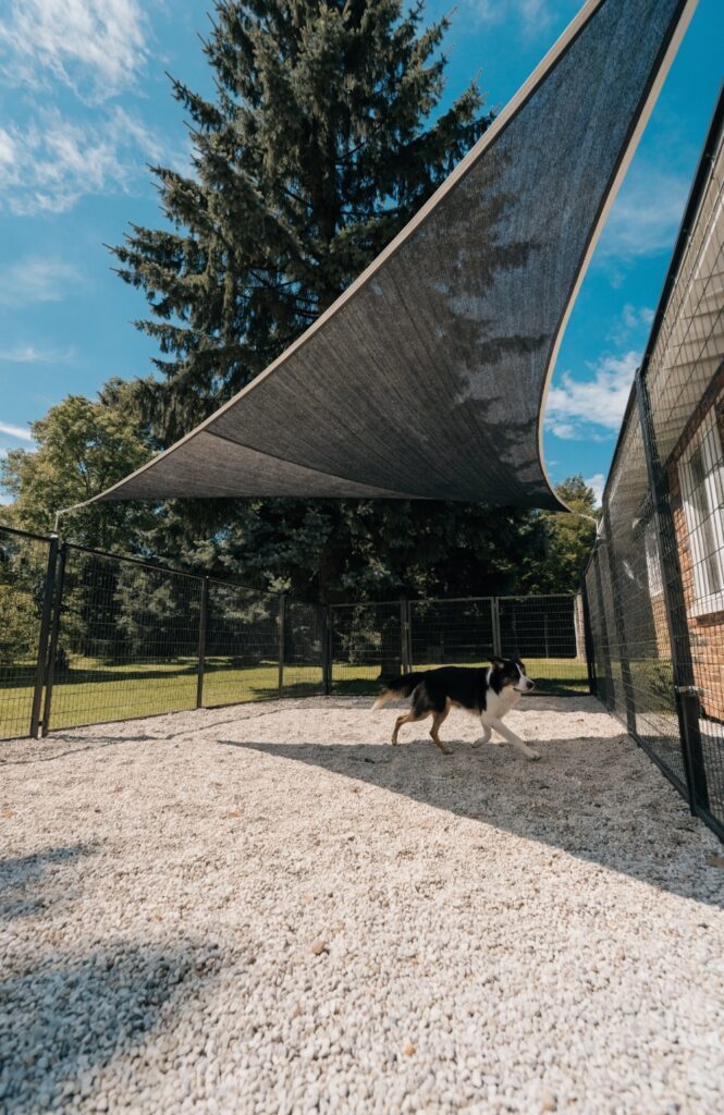 diy dog kennel outdoor with shade sail and gravel