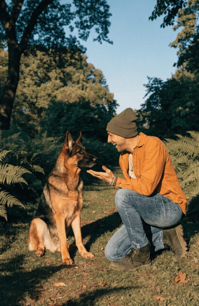 how to name your german shepherd dog tips