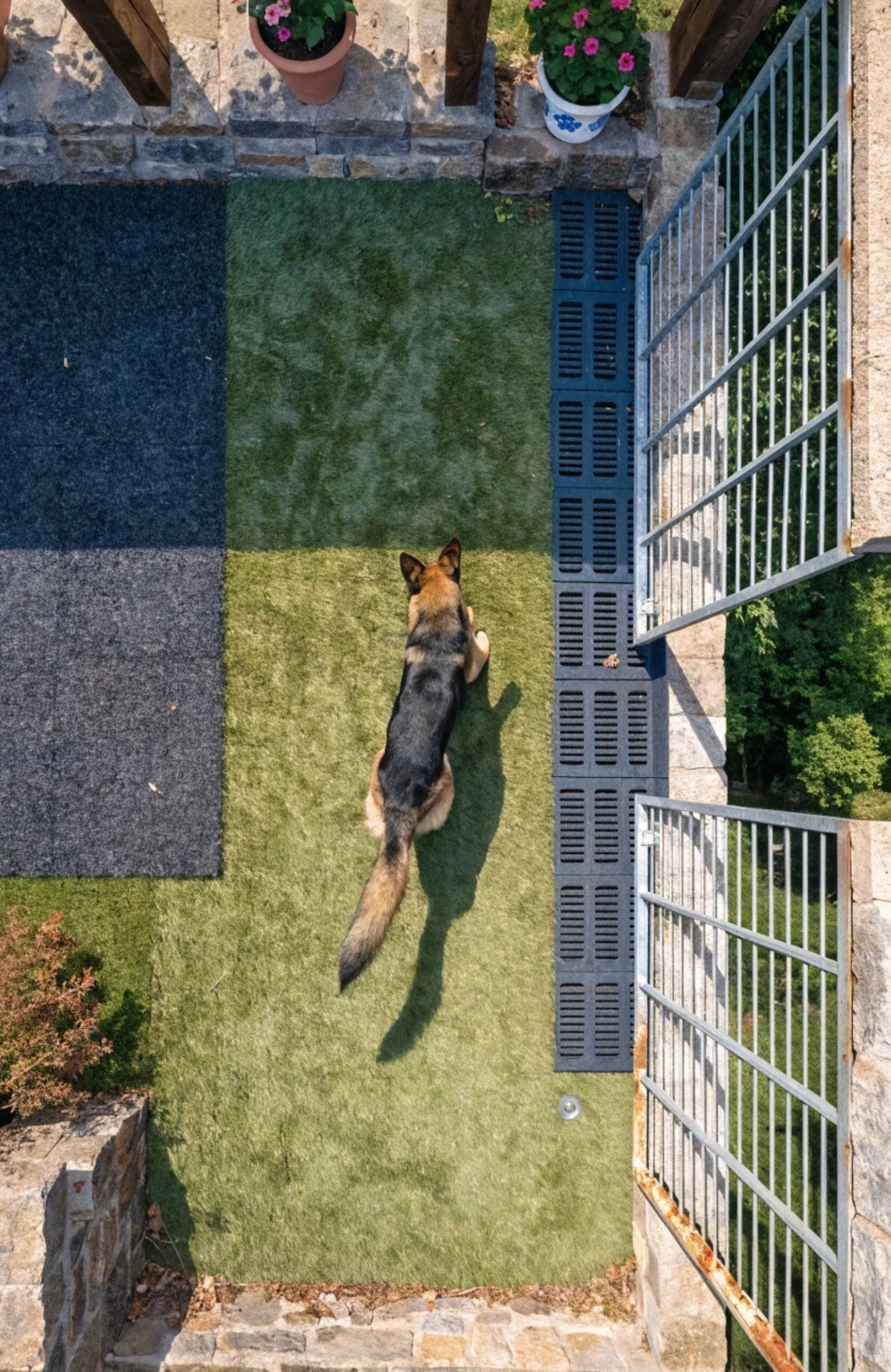 combination kennel flooring zones outdoor setup