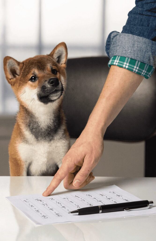 how to pronounce japanese dog names