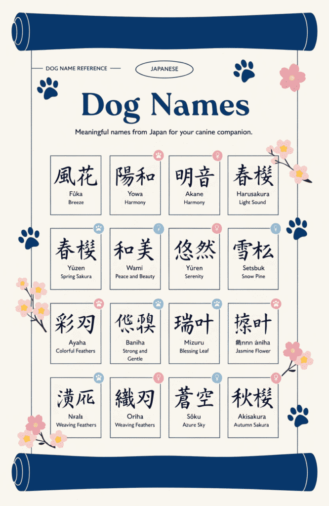 Japanese dog names list with meanings