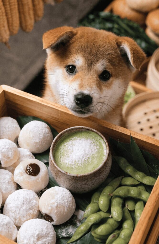 Japanese food names for dogs