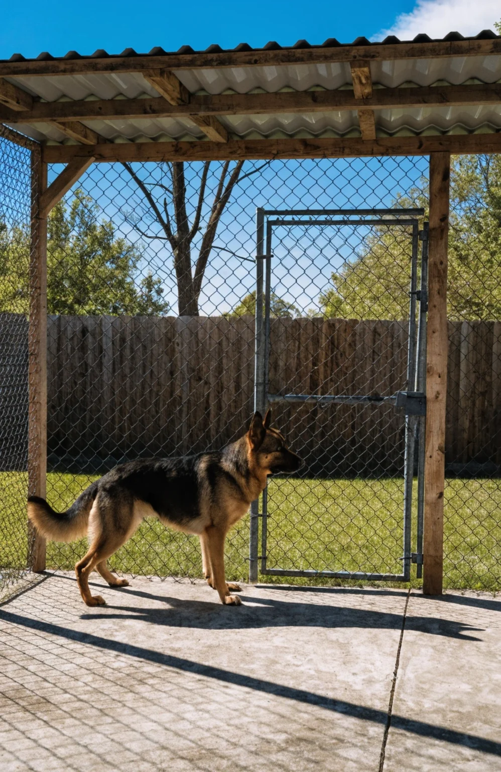 outdoor dog kennel ideas diy chain links roofed