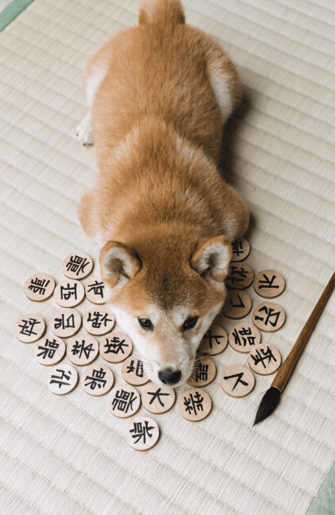 japanese dog names meaning