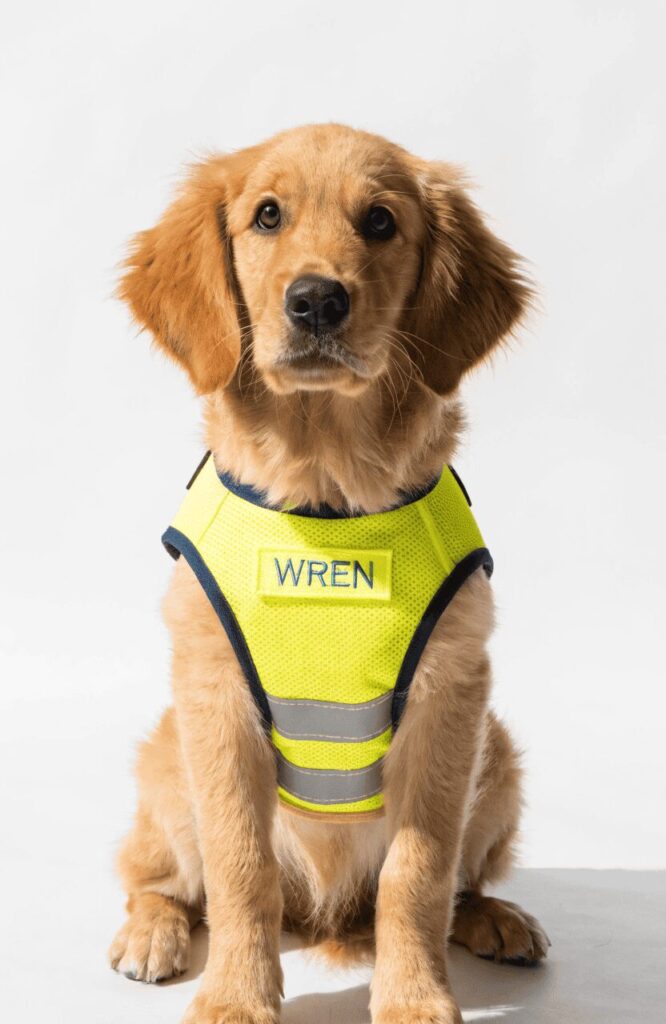 cute service dog names unique