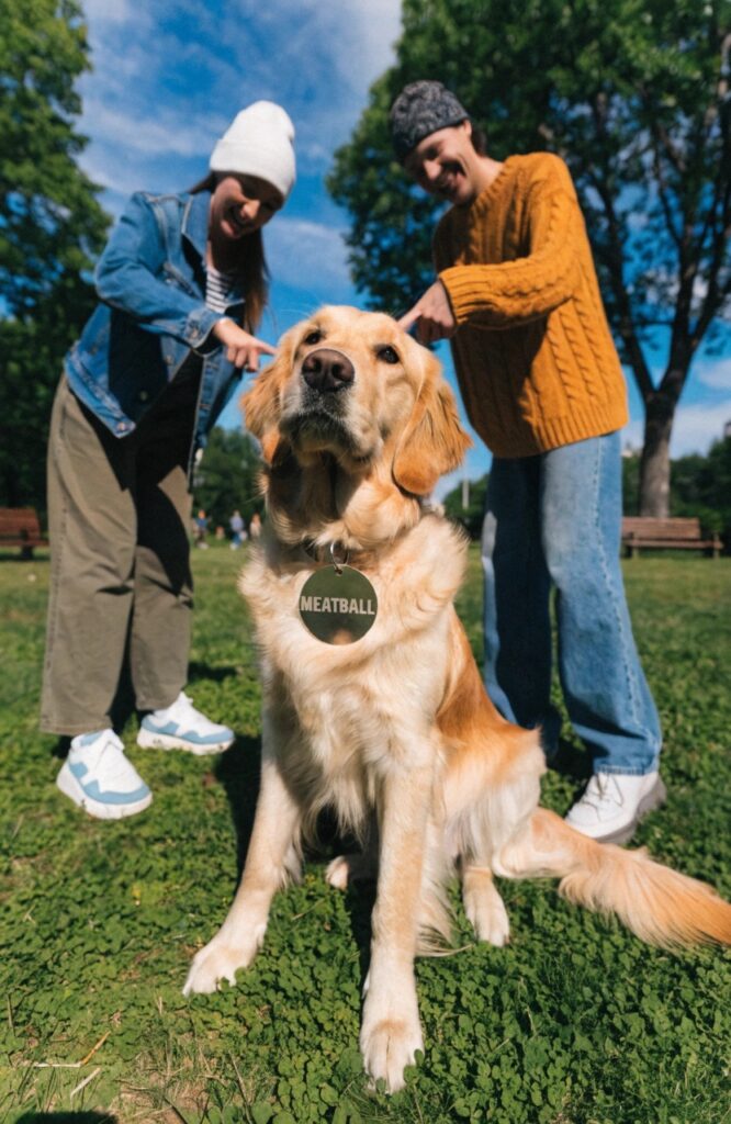 A dog wearing a name tag at a dog park