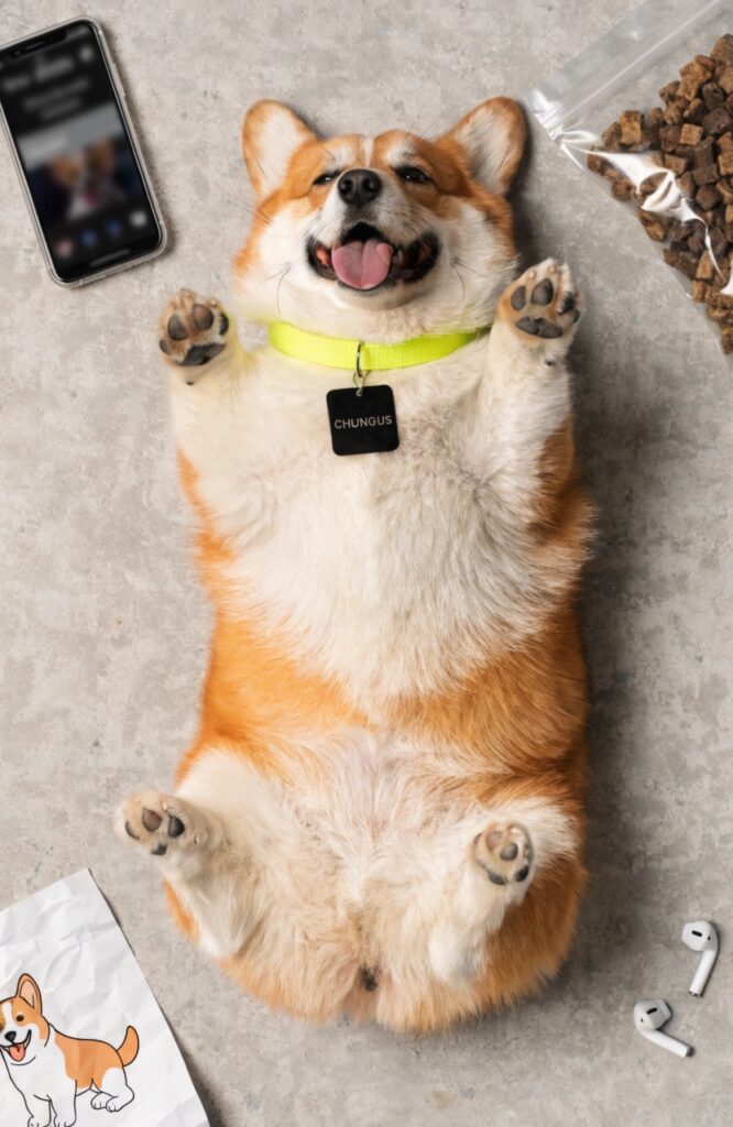 internet meme inspired funny dog names Gen Z