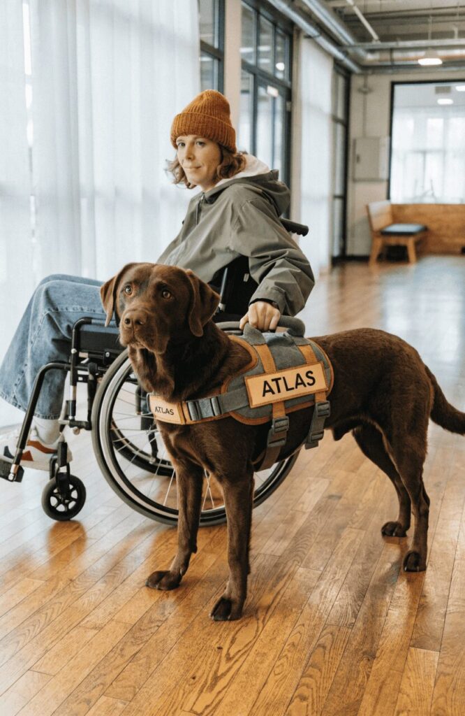 mobility assistance dog names