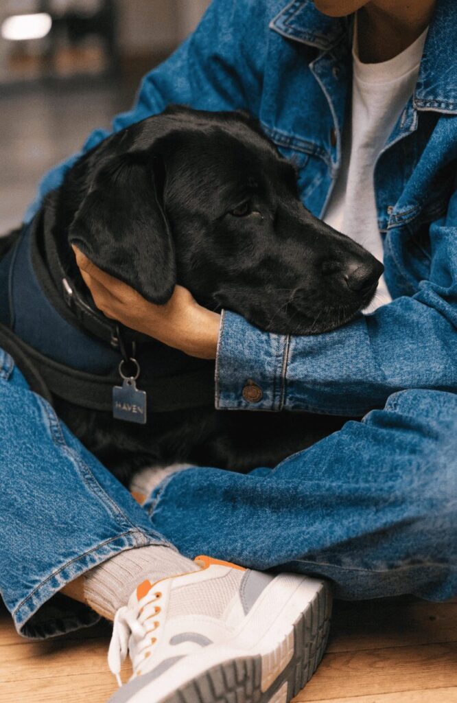 PTSD service dog names