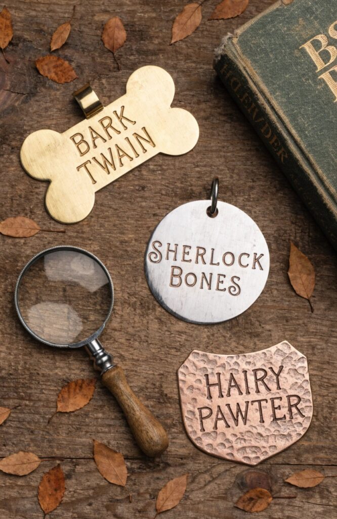 funny nicknames for dogs with pun-based name tag