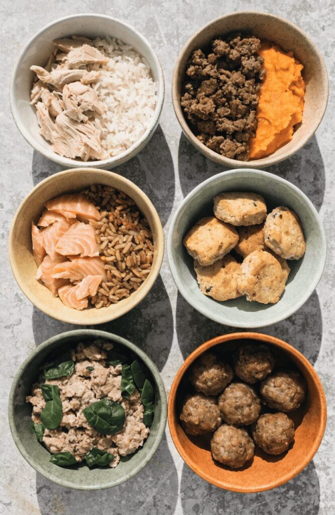 variety of homemade dog food recipe bowls