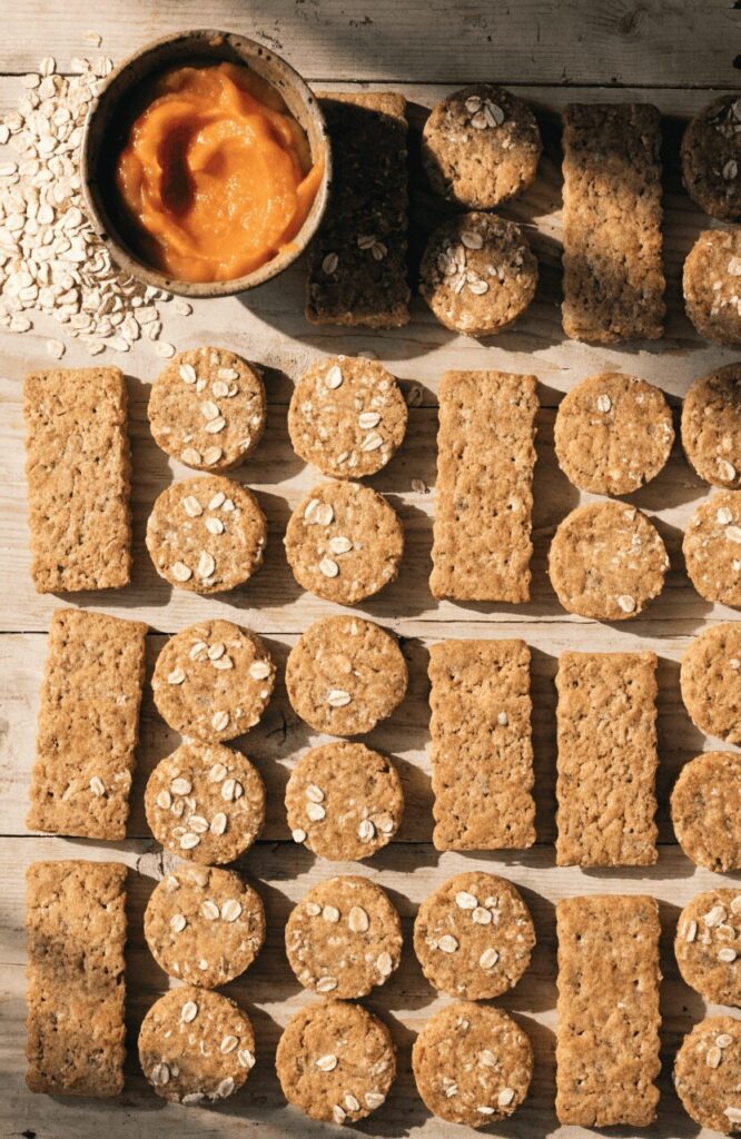 pumpkin oat homemade dog treat biscuits