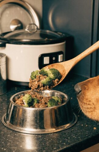 ground beef brown rice crockpot meal for dogs