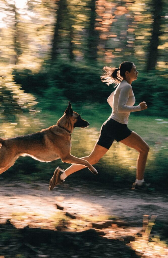 Belgian Malinois running at full stride beside a woman on a forest trail at golden hour