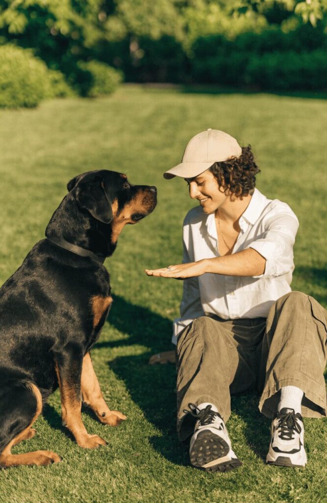 first-time owner confidently training a guard dog in a park