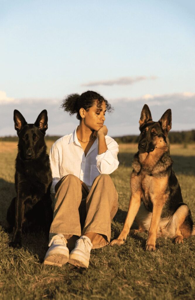 Black German Shepherd vs Normal German Shepherd choosing the right one for your lifestyle