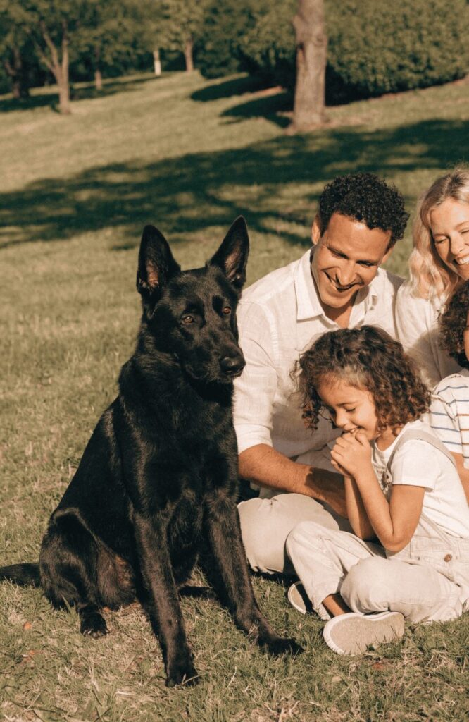 Black German Shepherd vs Normal German Shepherd temperament family comparison