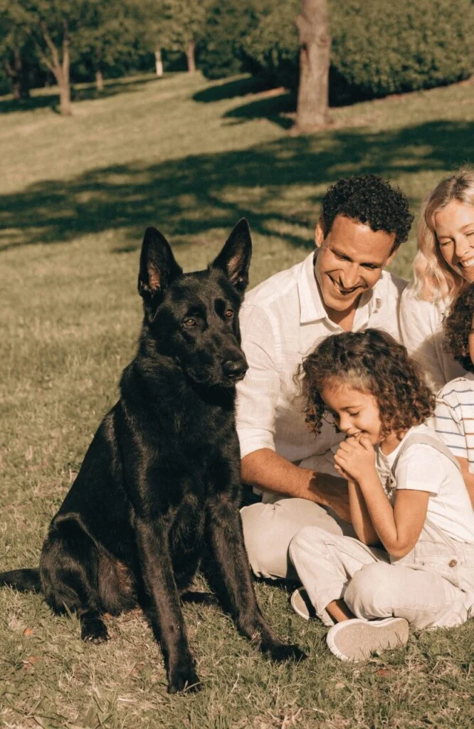Black German Shepherd vs Normal German Shepherd temperament family comparison