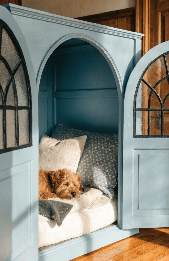 calming color dog kennel decorating ideas