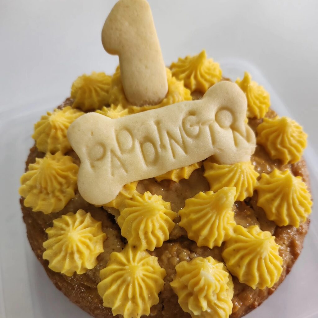 Carrot, Oat and Honey Cake with Dog Biscuit Topping