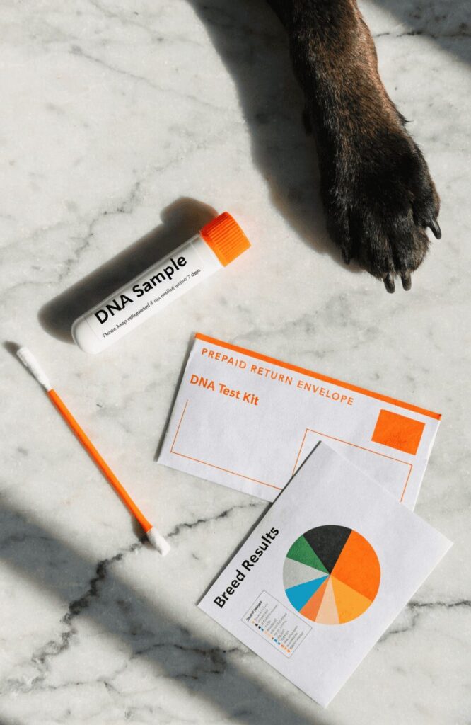 dog DNA testing most accurate breed identification method