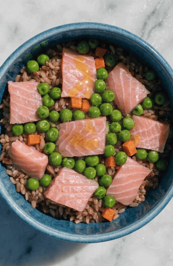 salmon brown rice omega bowl for dog coat health